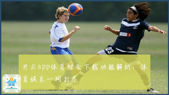 开云app体育综合下载功能解析，体育娱乐一网打尽