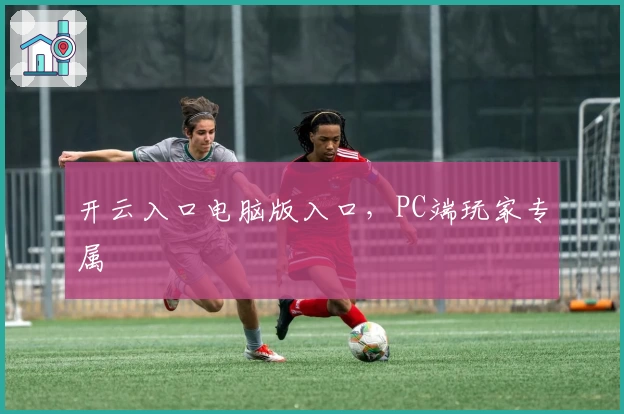 开云入口电脑版入口，PC端玩家专属