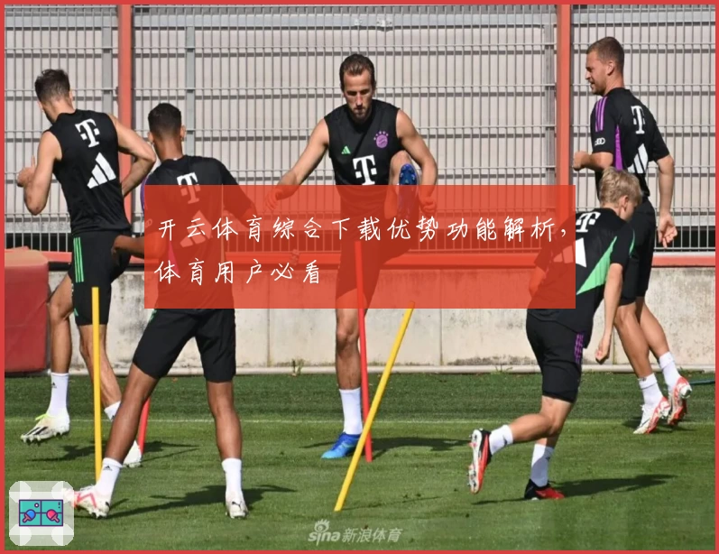 开云体育综合下载优势功能解析，体育用户必看