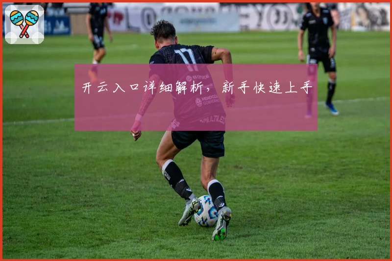 开云入口详细解析，新手快速上手